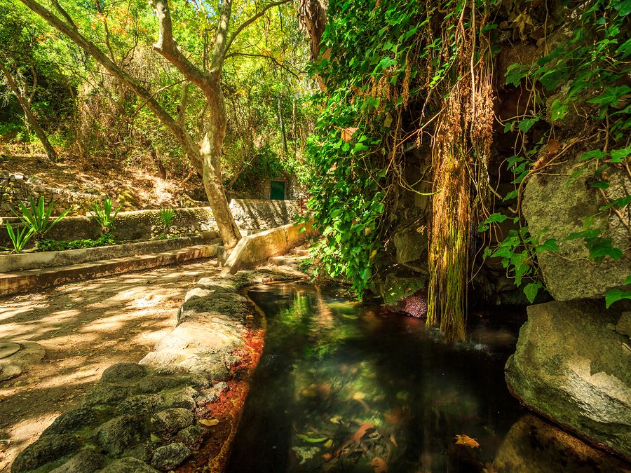 Caldas de Monchique Trails, Serra de Monchique, Algarve